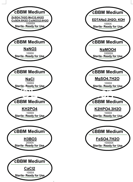 cBBM培養(yǎng)基 cBBM培養(yǎng)基