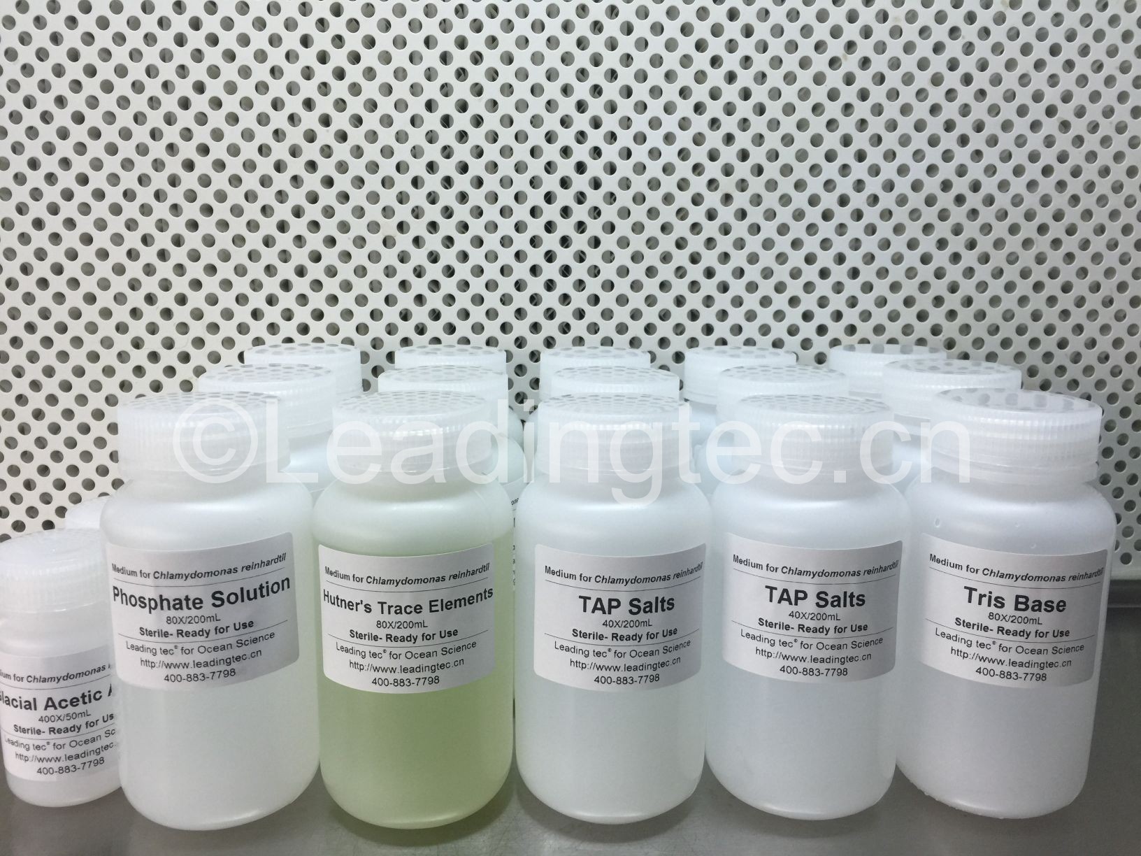 TAP濃縮培養(yǎng)液|培養(yǎng)基|營養(yǎng)液|營養(yǎng)鹽 TAP濃縮培養(yǎng)液|培養(yǎng)基|營養(yǎng)液|營養(yǎng)鹽