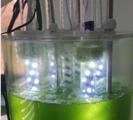 led7 內(nèi)置反應(yīng)器LED光源