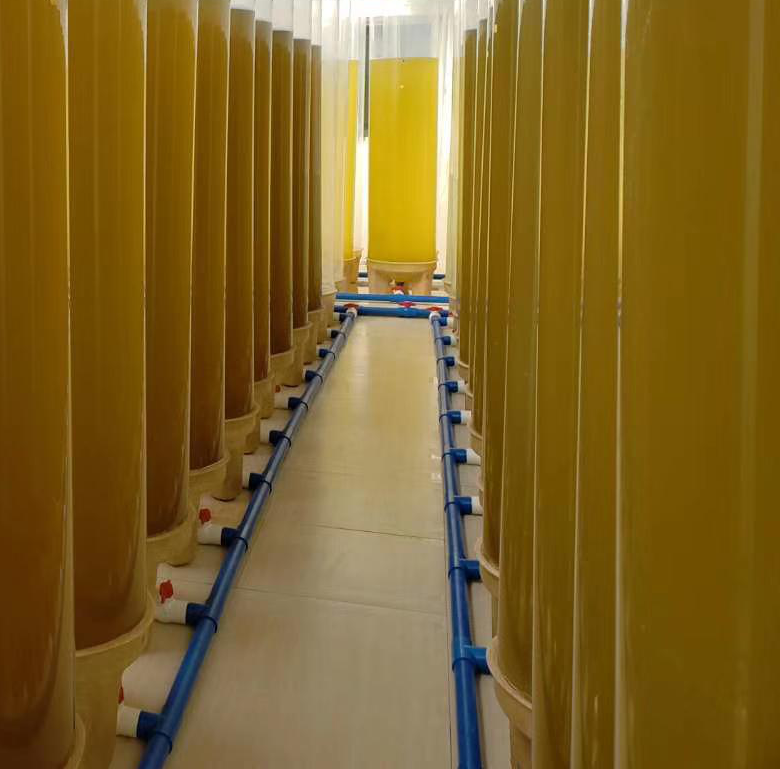 硅藻金藻培養(yǎng)柱狀反應器 硅藻金藻培養(yǎng)柱狀反應器