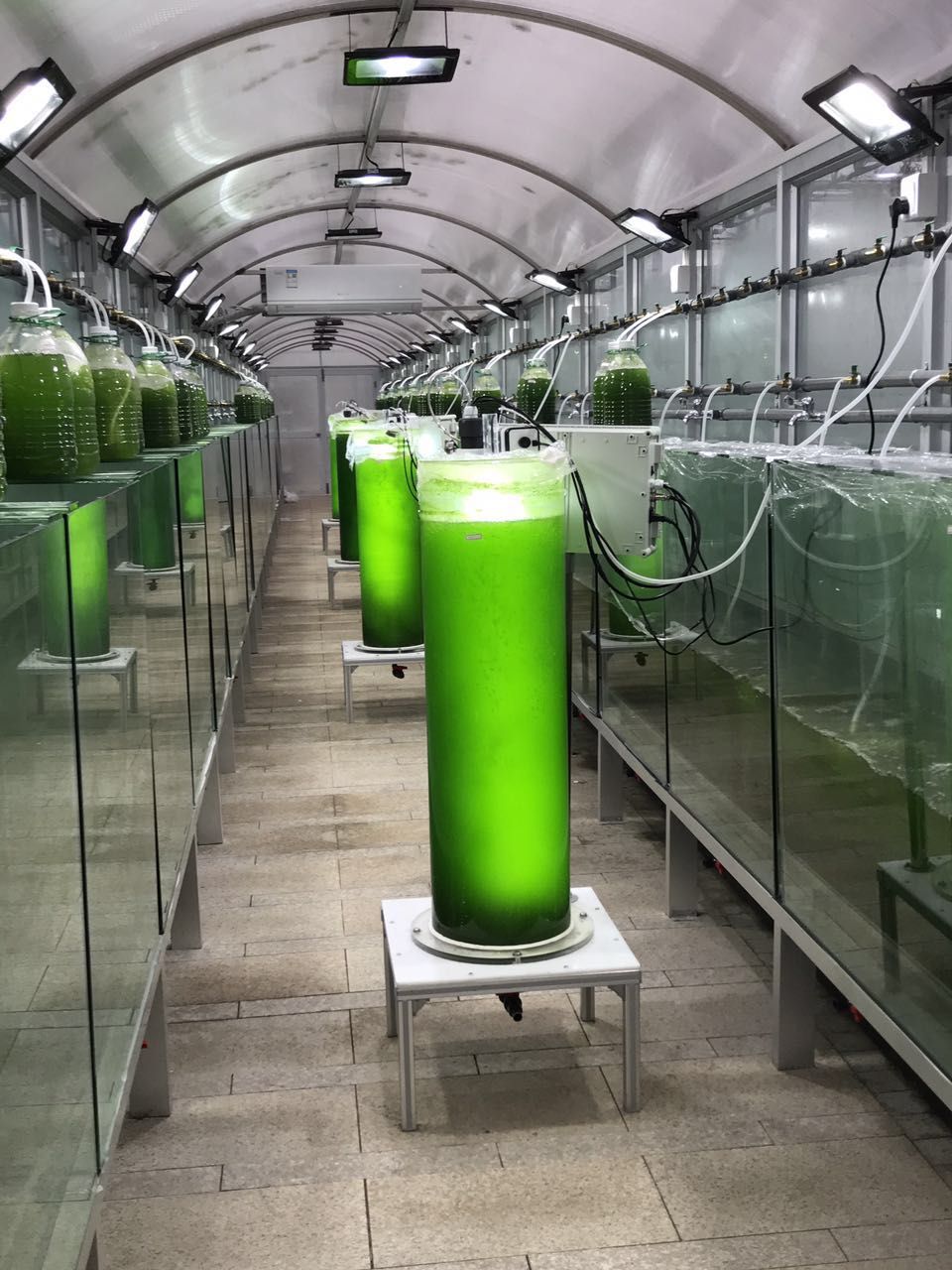 柱狀光生物反應(yīng)器 柱狀光生物反應(yīng)器