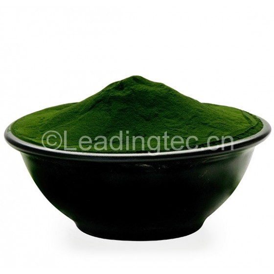 chlorella powder小球藻粉