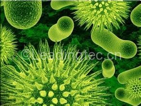 土壤固碳微生物（細(xì)菌和藻類）豐度和多樣性