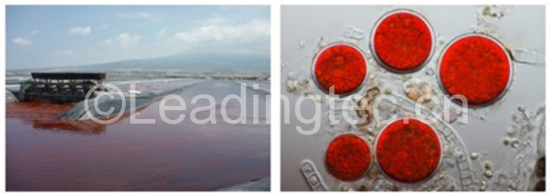 20151028130825_39943 (1)