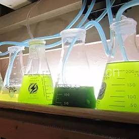 1459580693-5159-0b6a45e44d7f8311a18360454812