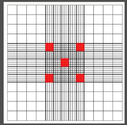 藻細(xì)胞在血球計(jì)數(shù)板的實(shí)際計(jì)數(shù)區(qū)