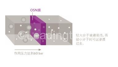 耐有機溶劑納濾膜