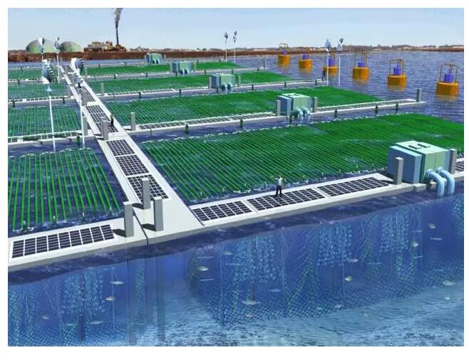 飄浮養(yǎng)藻示意圖