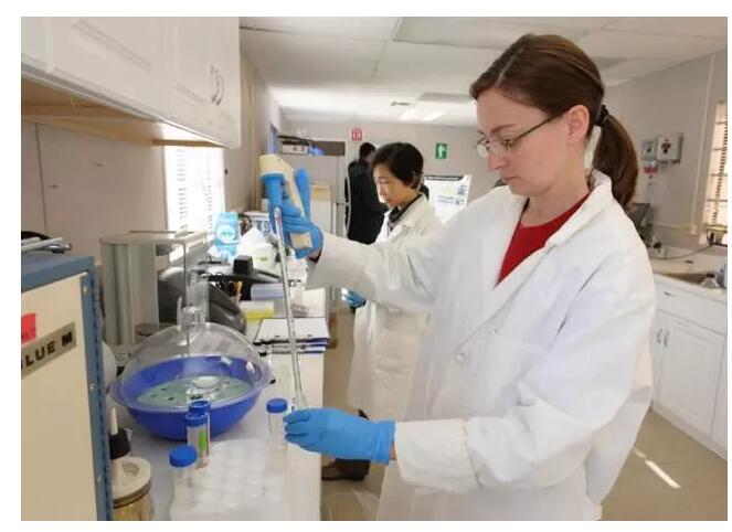 微藻實(shí)驗(yàn)室方案