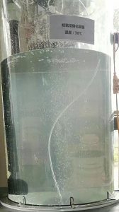 好氧反硝化細(xì)菌(Aerobic Denitrlfier,GY-D101)