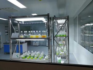 頂光源藻類保藏架