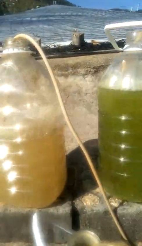 用二氧化氯消毒水