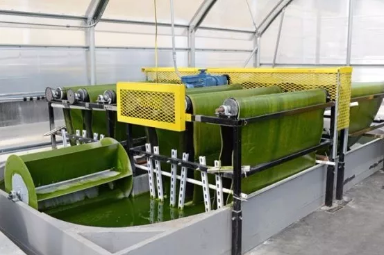 美國(guó)半浸式貼壁培養(yǎng)