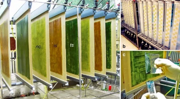 德國(guó)科隆大學(xué)培養(yǎng)裝置