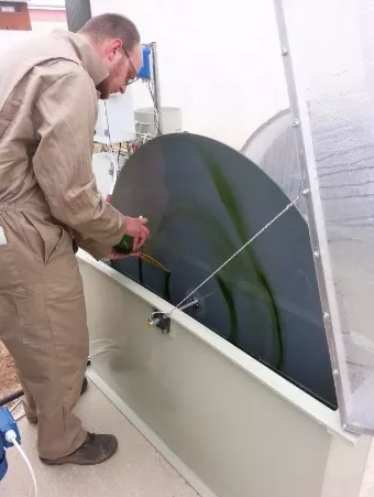 微藻貼壁養(yǎng)殖技術(shù)