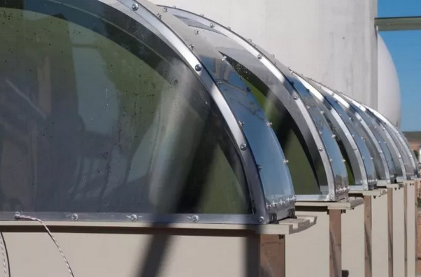 微藻貼壁養(yǎng)殖技術(shù)