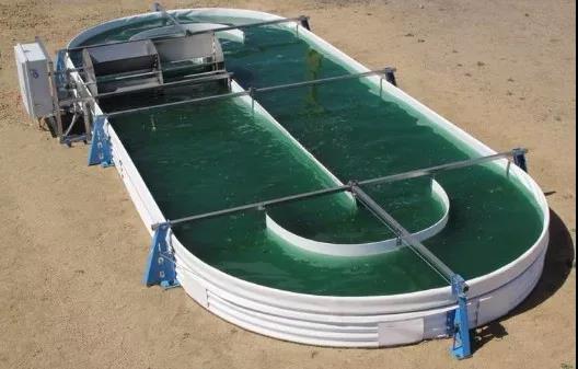 MicroBio Engineering Inc