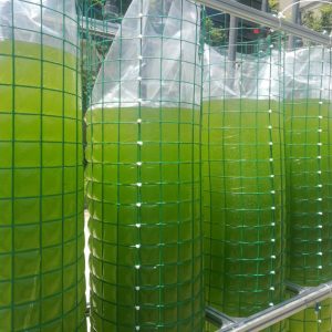 薄膜反應(yīng)器養(yǎng)藻