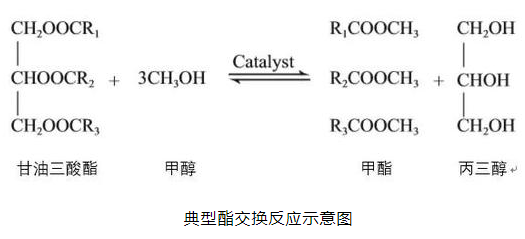 酯交換反應(yīng)示意圖