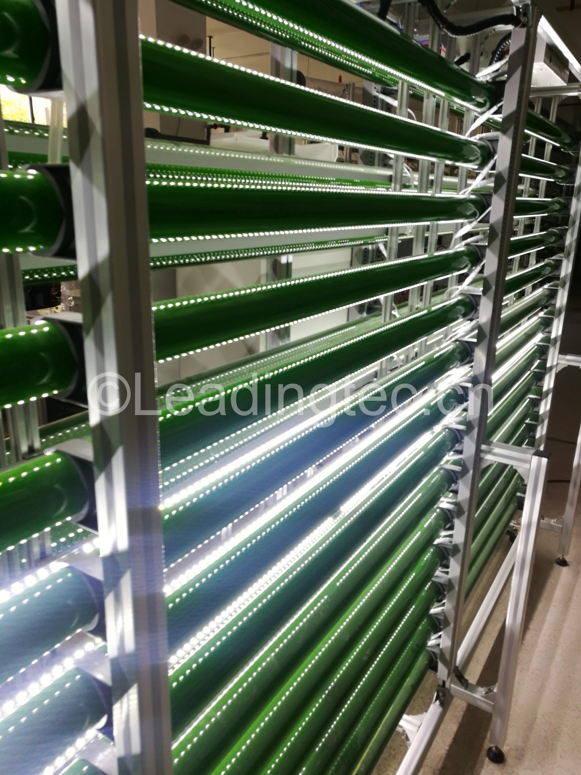 裸藻光生物反應(yīng)器