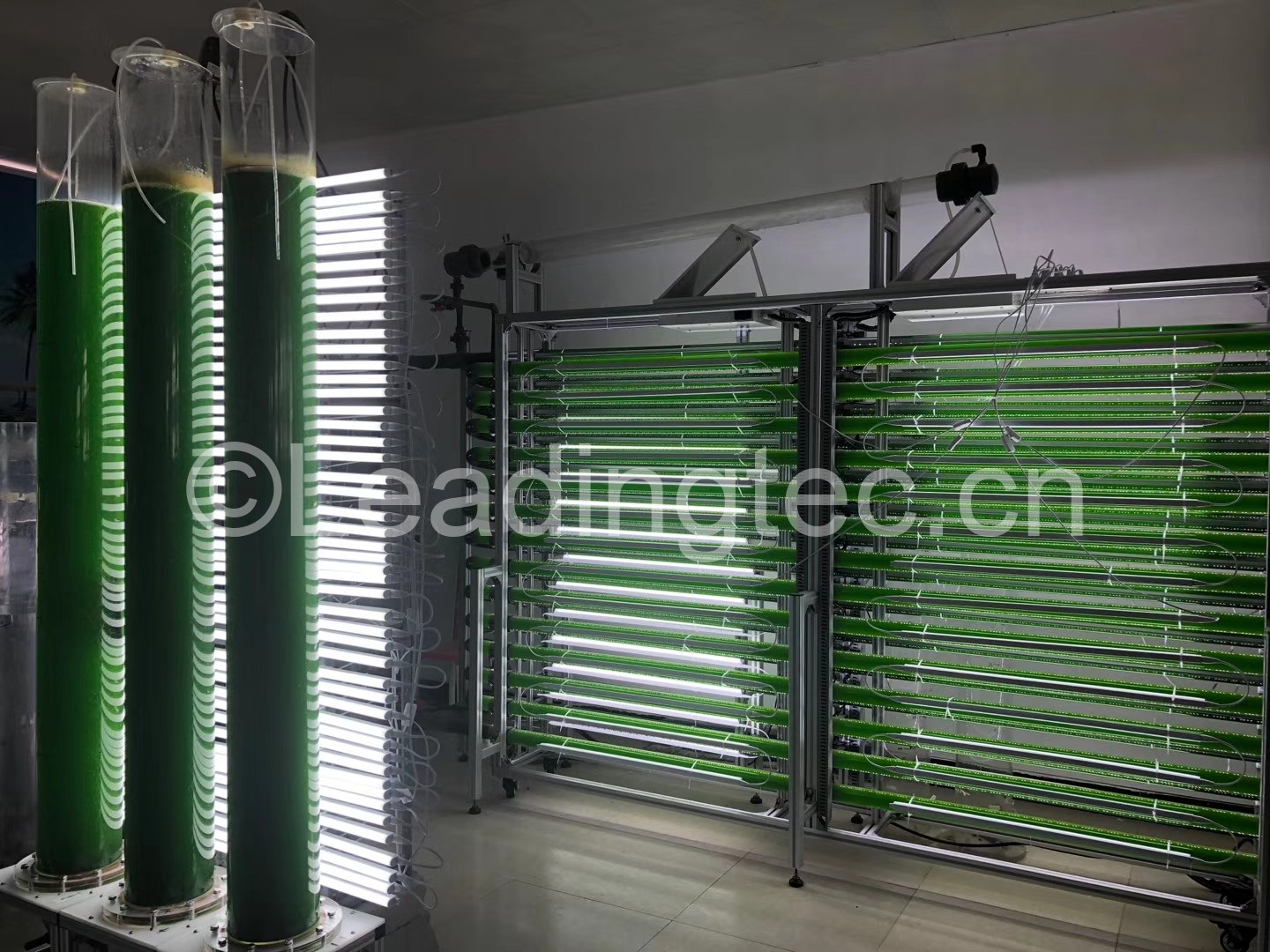 小球藻光生物反應(yīng)器