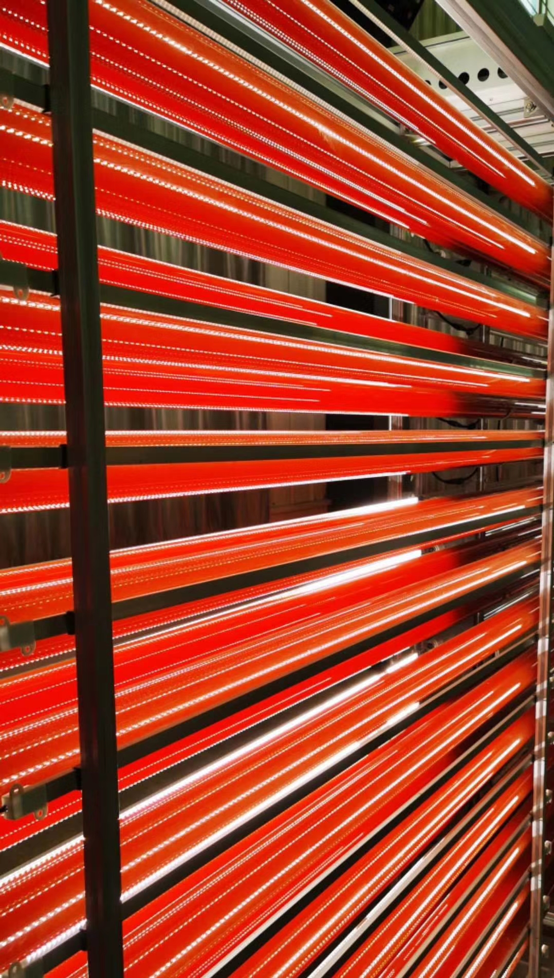 農(nóng)業(yè)用光合細(xì)菌培養(yǎng)