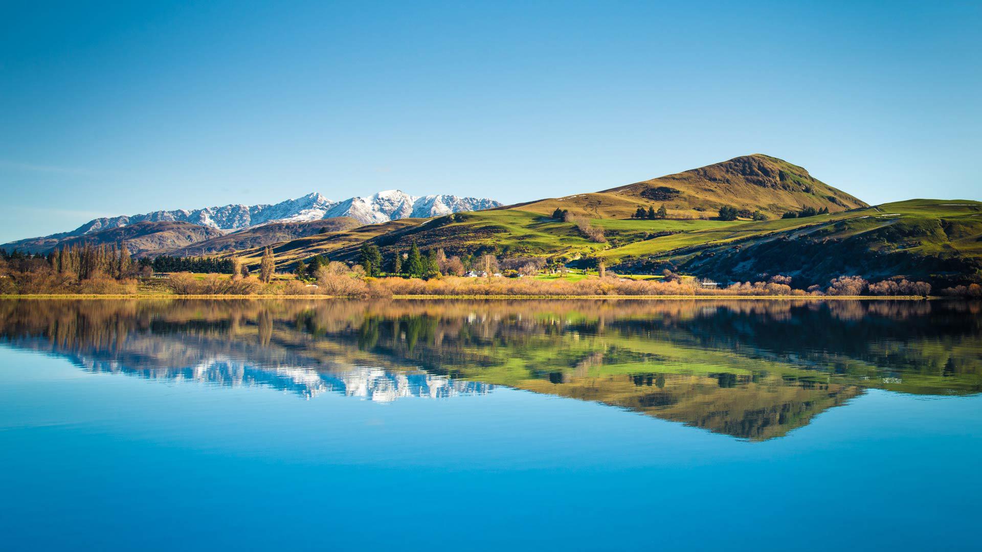 海洋微藻“光利用”與“光損傷”平衡調(diào)控機(jī)制