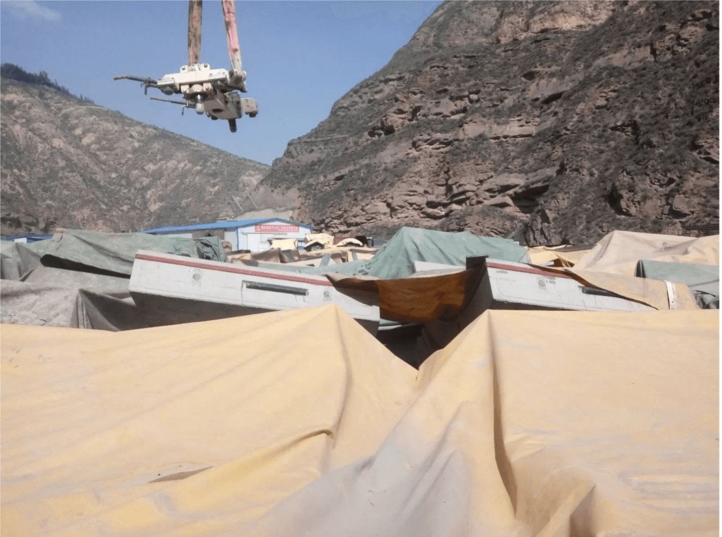 使用流式細胞技術(shù)對三角褐指藻進行分選,篩選高含巖藻黃質(zhì)的突變株并驗證