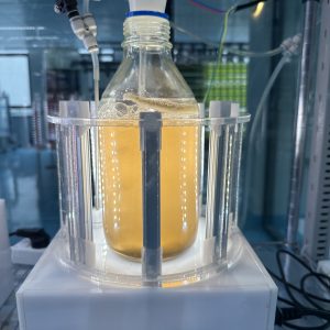 光語實(shí)驗(yàn)室迷你反應(yīng)器