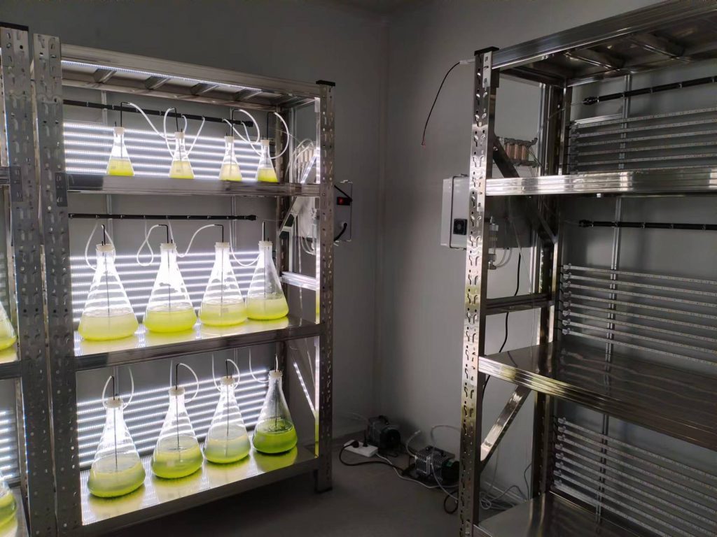 實驗室專用！光語生物光照培養(yǎng)架GY-23PYJ-04