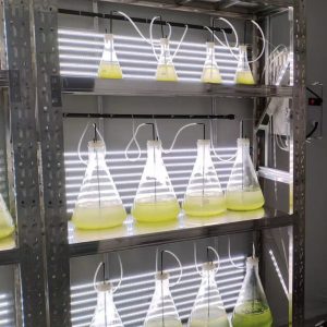 實驗室專用！光語生物光照培養(yǎng)架GY-23PYJ-04