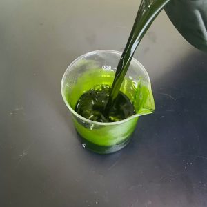 光語異養(yǎng)發(fā)酵罐小球藻藻液(120億細(xì)胞/ml)