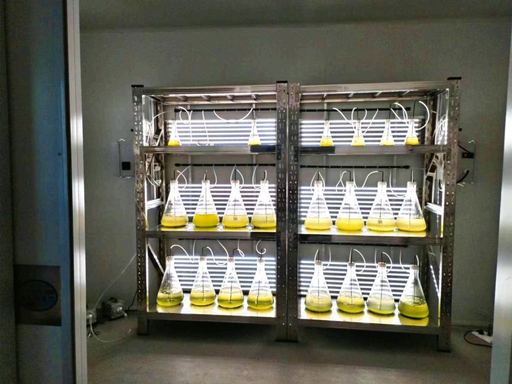 實驗室專用！光語生物光照培養(yǎng)架GY-23PYJ-04