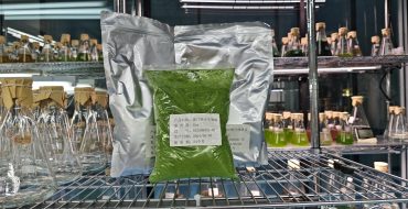 光語蛋白核小球藻