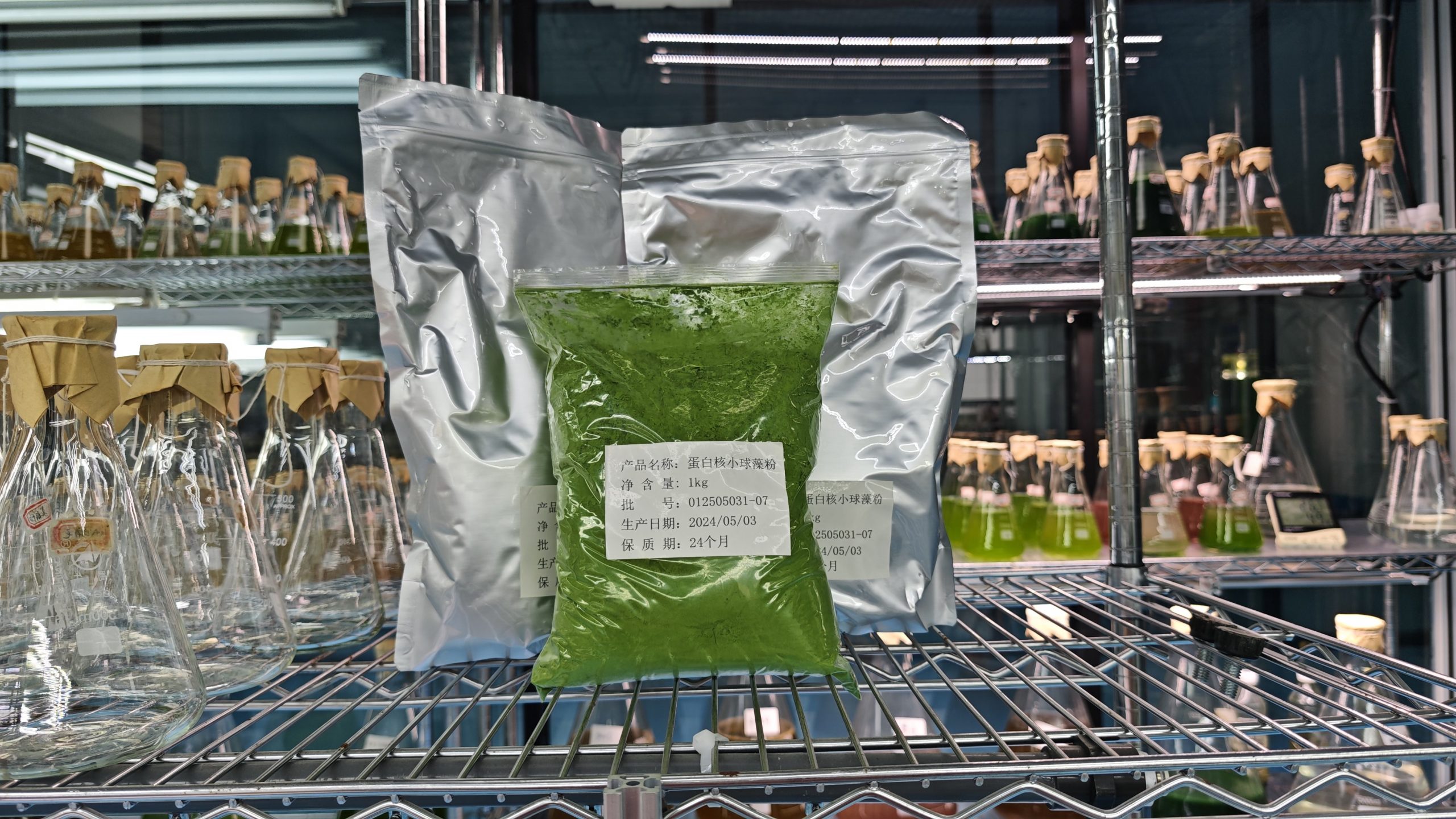 光語蛋白核小球藻