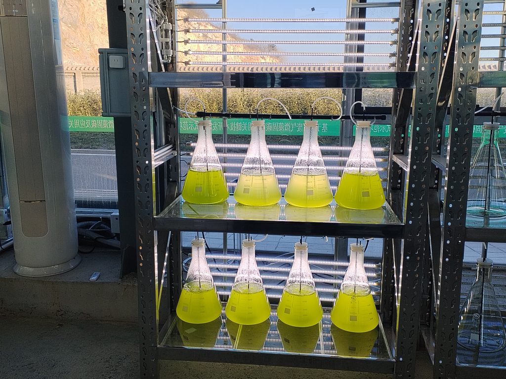 實驗室專用！光語生物光照培養(yǎng)架GY-23PYJ-04