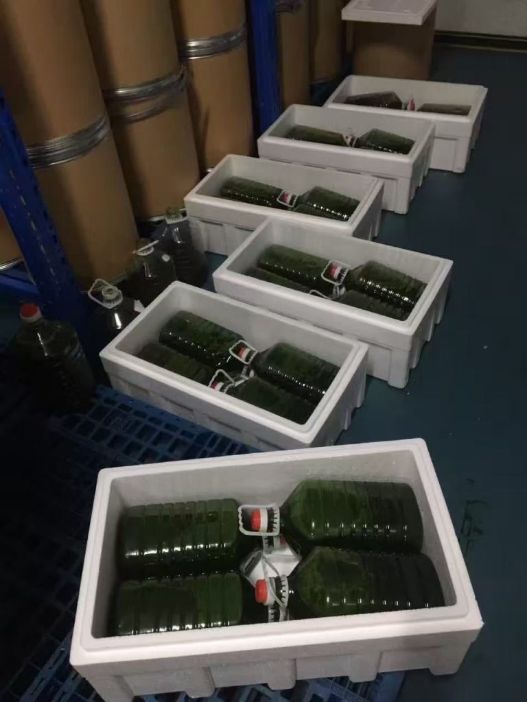 光語異養(yǎng)發(fā)酵罐小球藻藻液（120億細(xì)胞/ml）