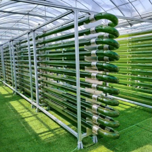 光語管道式反應(yīng)器