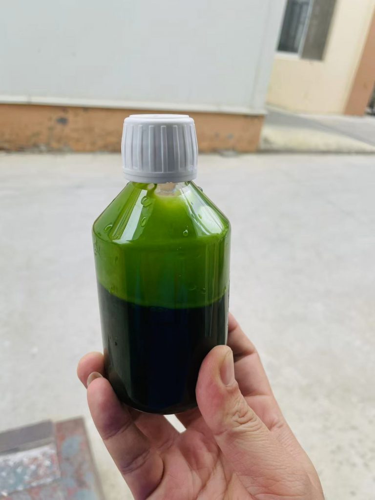 光語異養(yǎng)發(fā)酵罐小球藻藻液（120億細(xì)胞/ml）