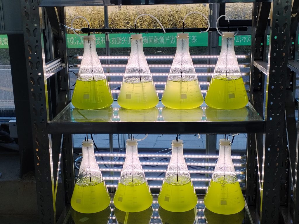 實驗室專用！光語生物光照培養(yǎng)架GY-23PYJ-04