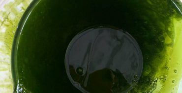 光語自養(yǎng)海水微擬球藻濃縮液