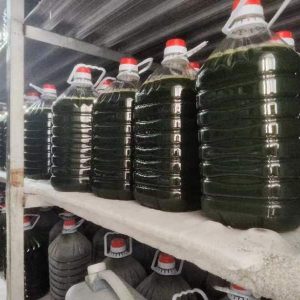 光語(yǔ)自養(yǎng)海水微擬球藻濃縮液