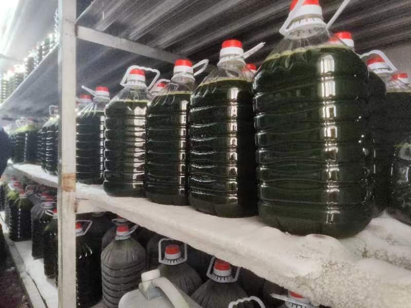 光語自養(yǎng)海水微擬球藻濃縮液