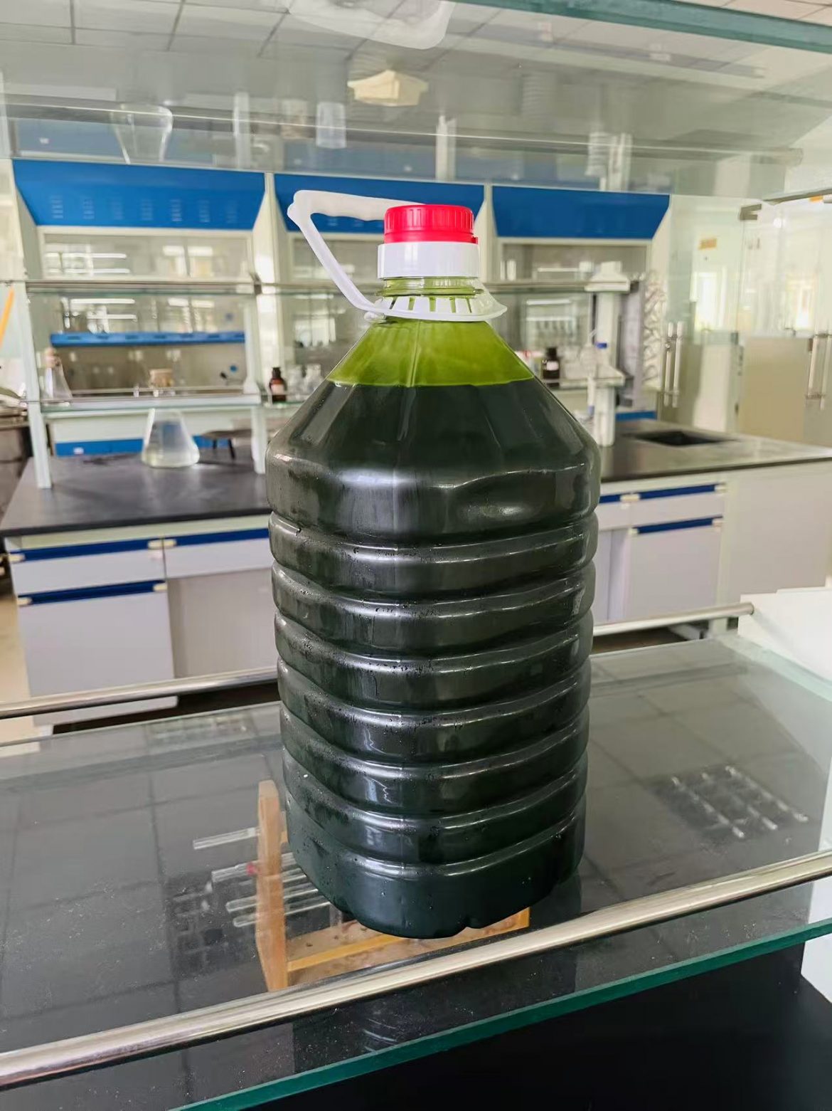 光語異養(yǎng)發(fā)酵罐小球藻藻液（120億細胞/ml）