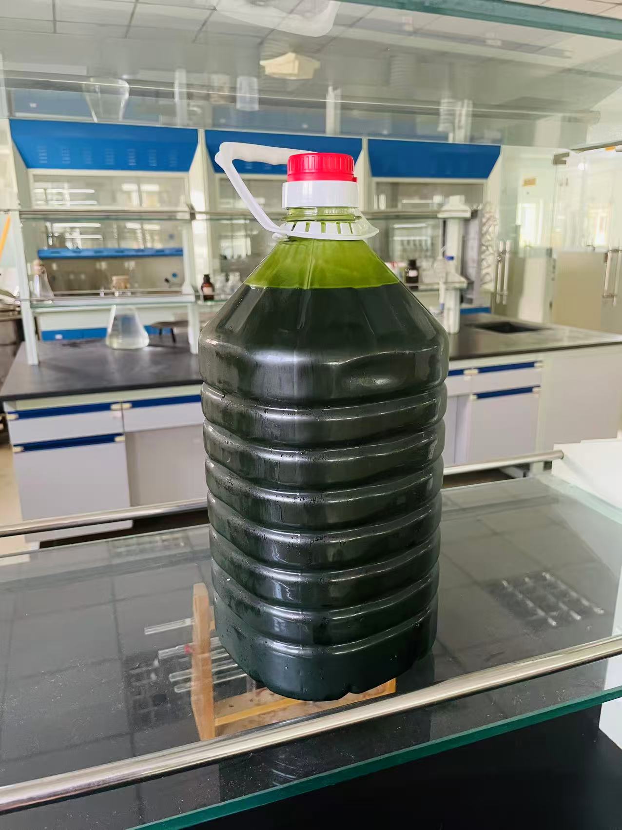 光語異養(yǎng)發(fā)酵罐小球藻藻液（120億細胞/ml）